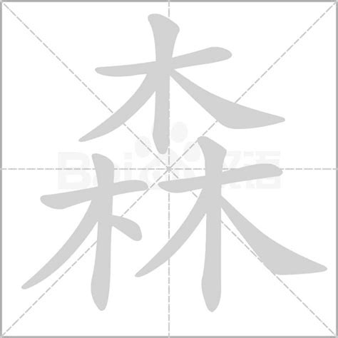 森字|《森》字义，《森》字的字形演变，小篆隶书楷书写法《森》